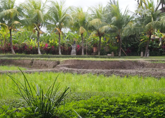 Hotel Bebek Tepi Sawah Restaurant & Ubud (Bali)