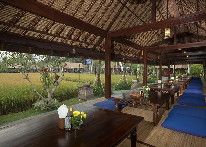 Bebek Tepi Sawah Restaurant & Ubud (Bali)