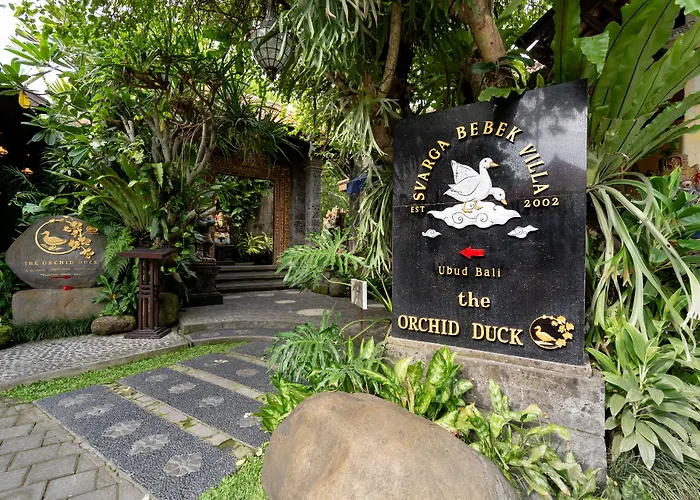 Bebek Tepi Sawah Restaurant & 3* Ubud (Bali)